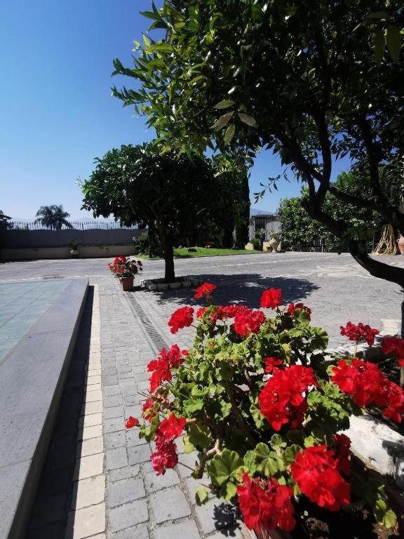 Atrium Pompei Villa Buitenkant foto
