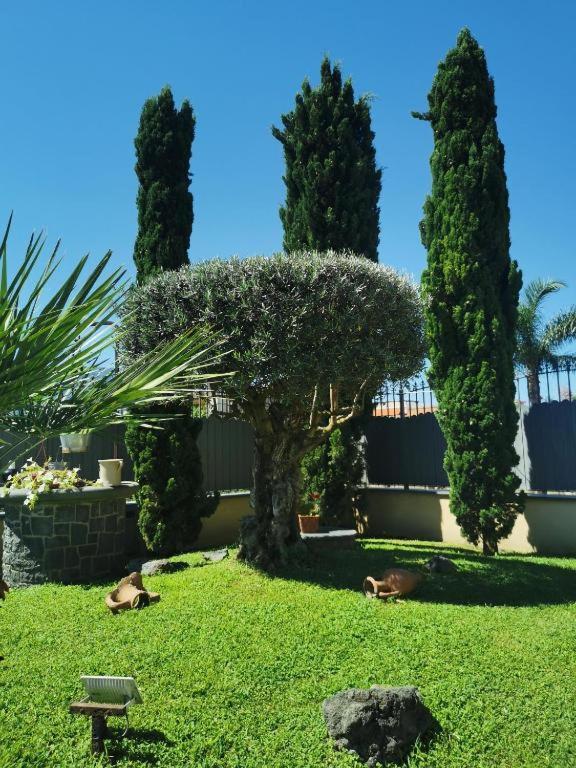 Atrium Pompei Villa Buitenkant foto